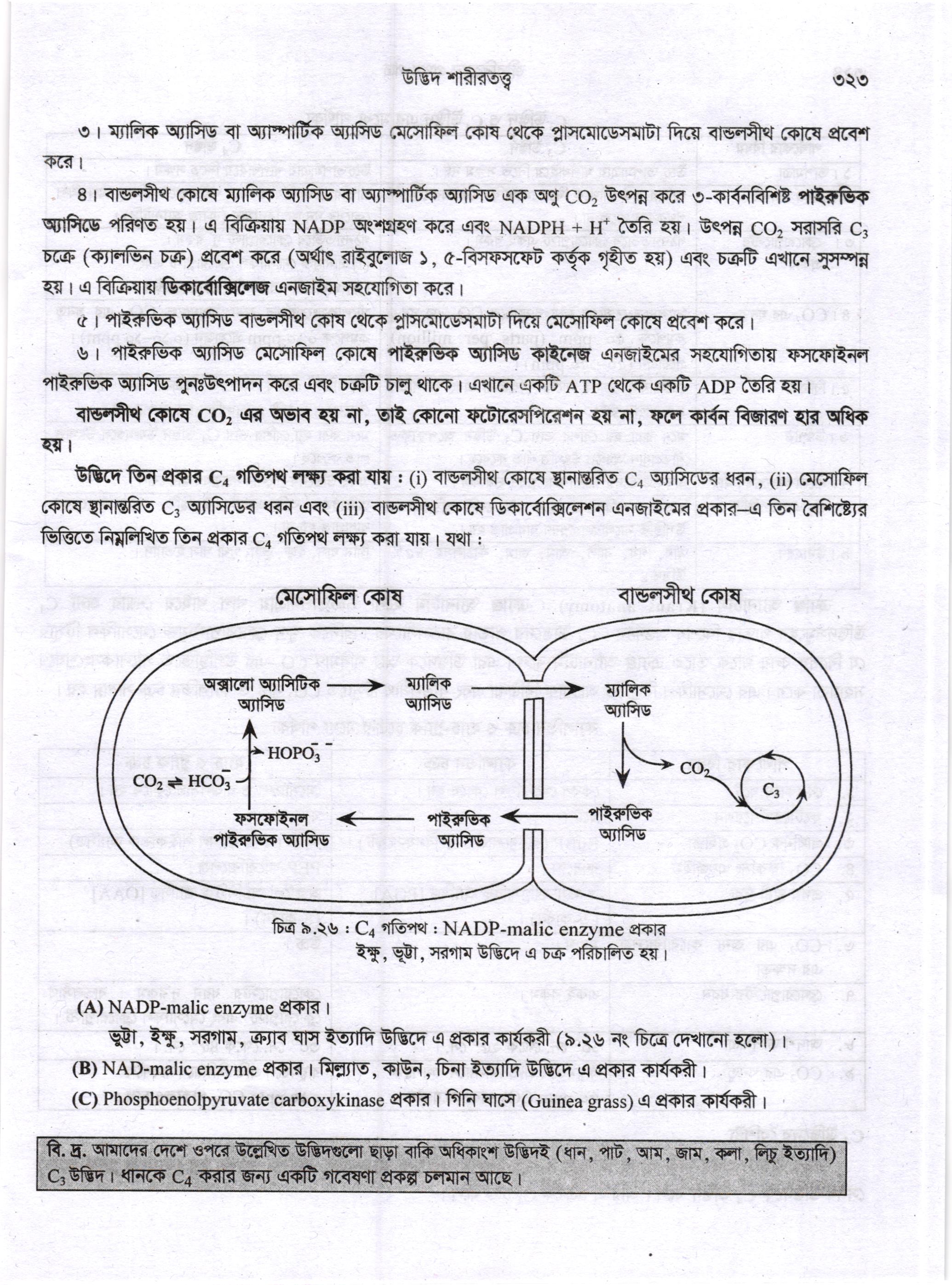 ড. মোহাম্মদ আবুল হাসান