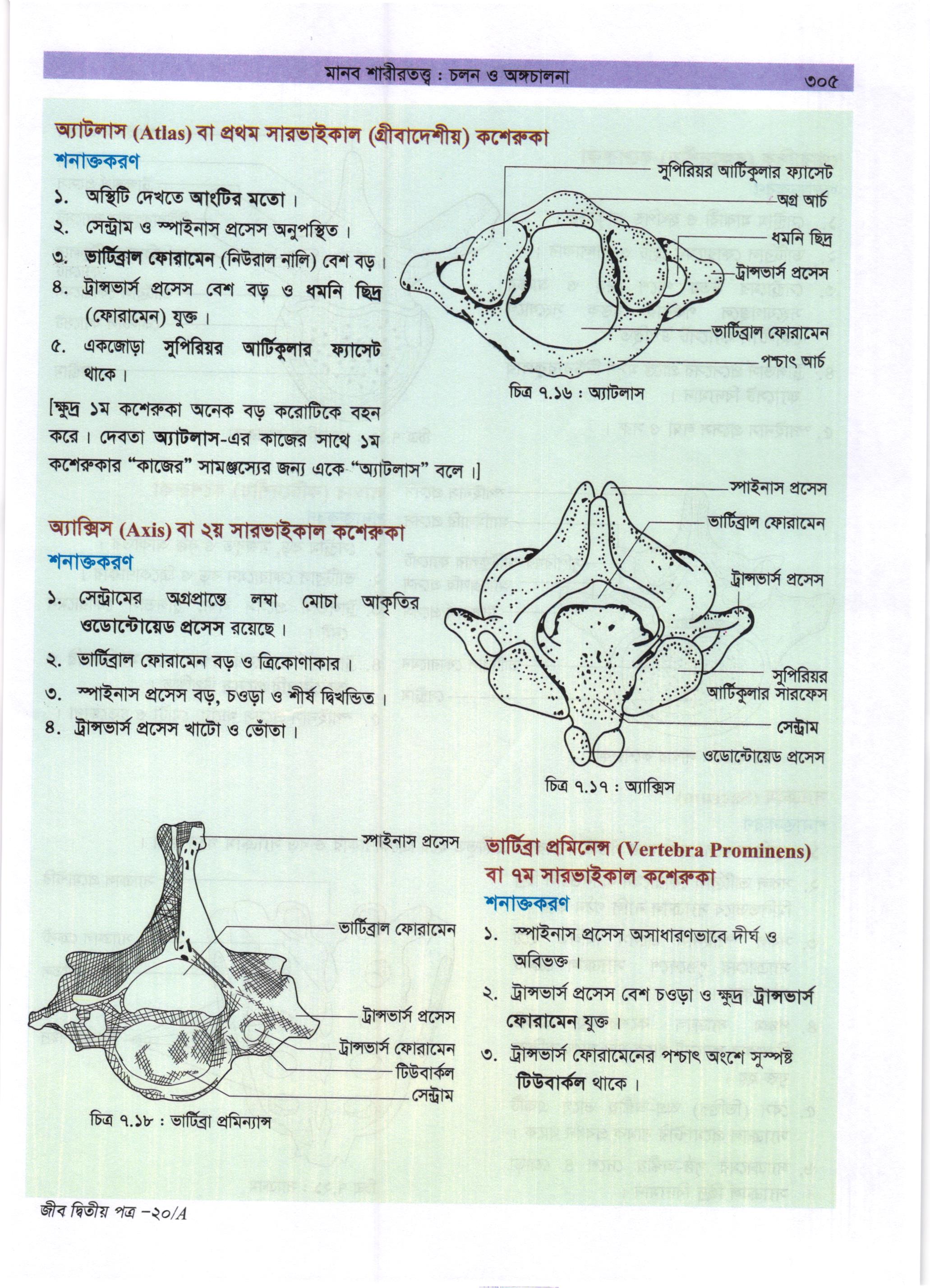 গাজী আজমল