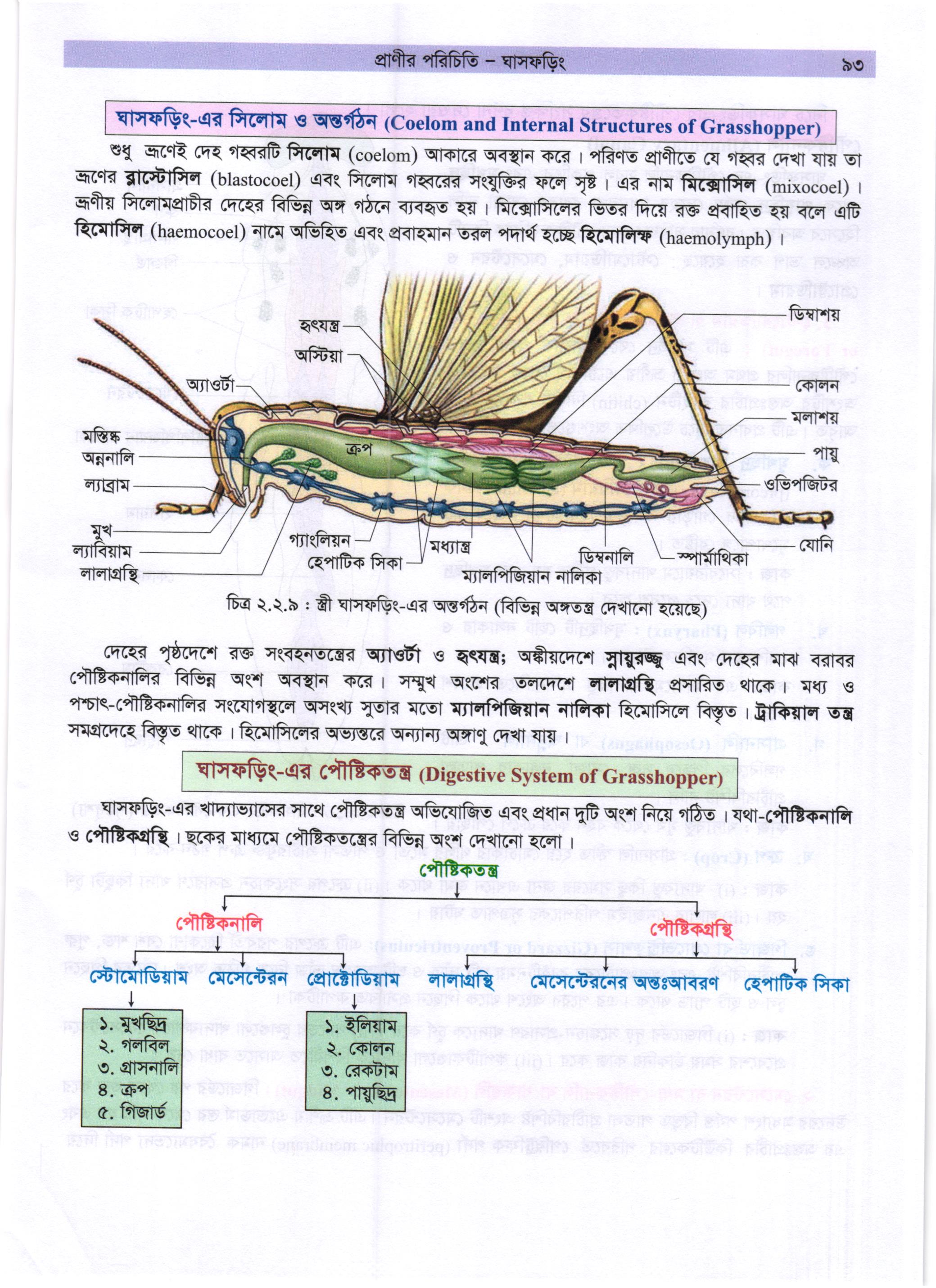 গাজী আজমল