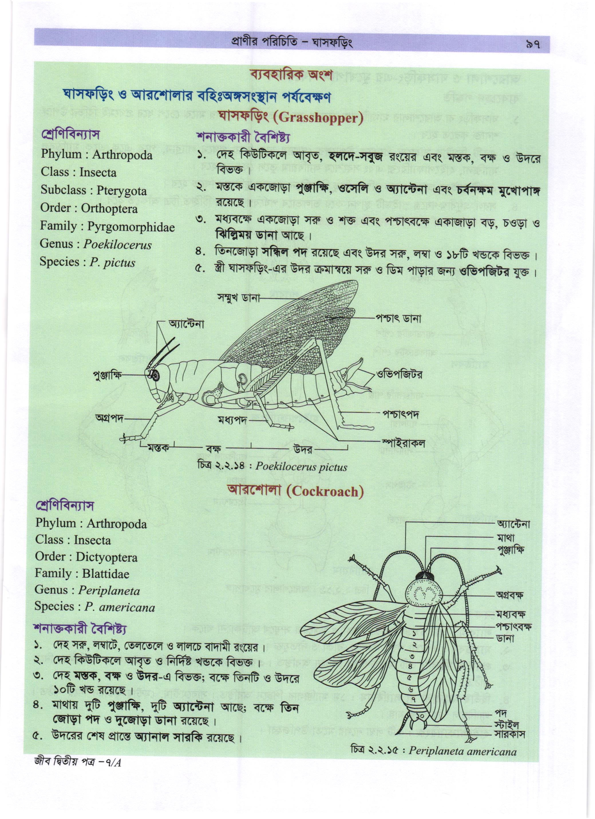 গাজী আজমল