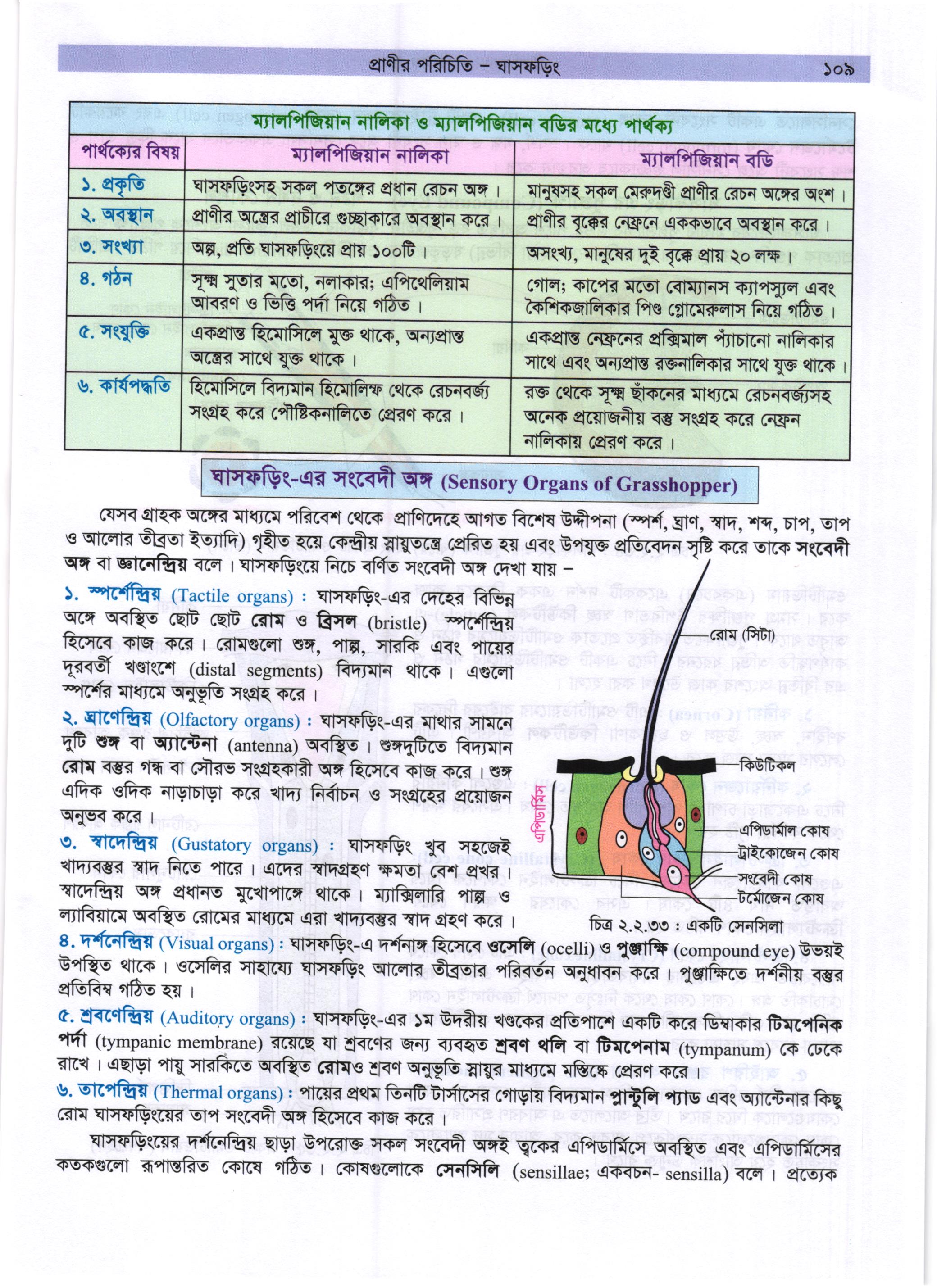 গাজী আজমল