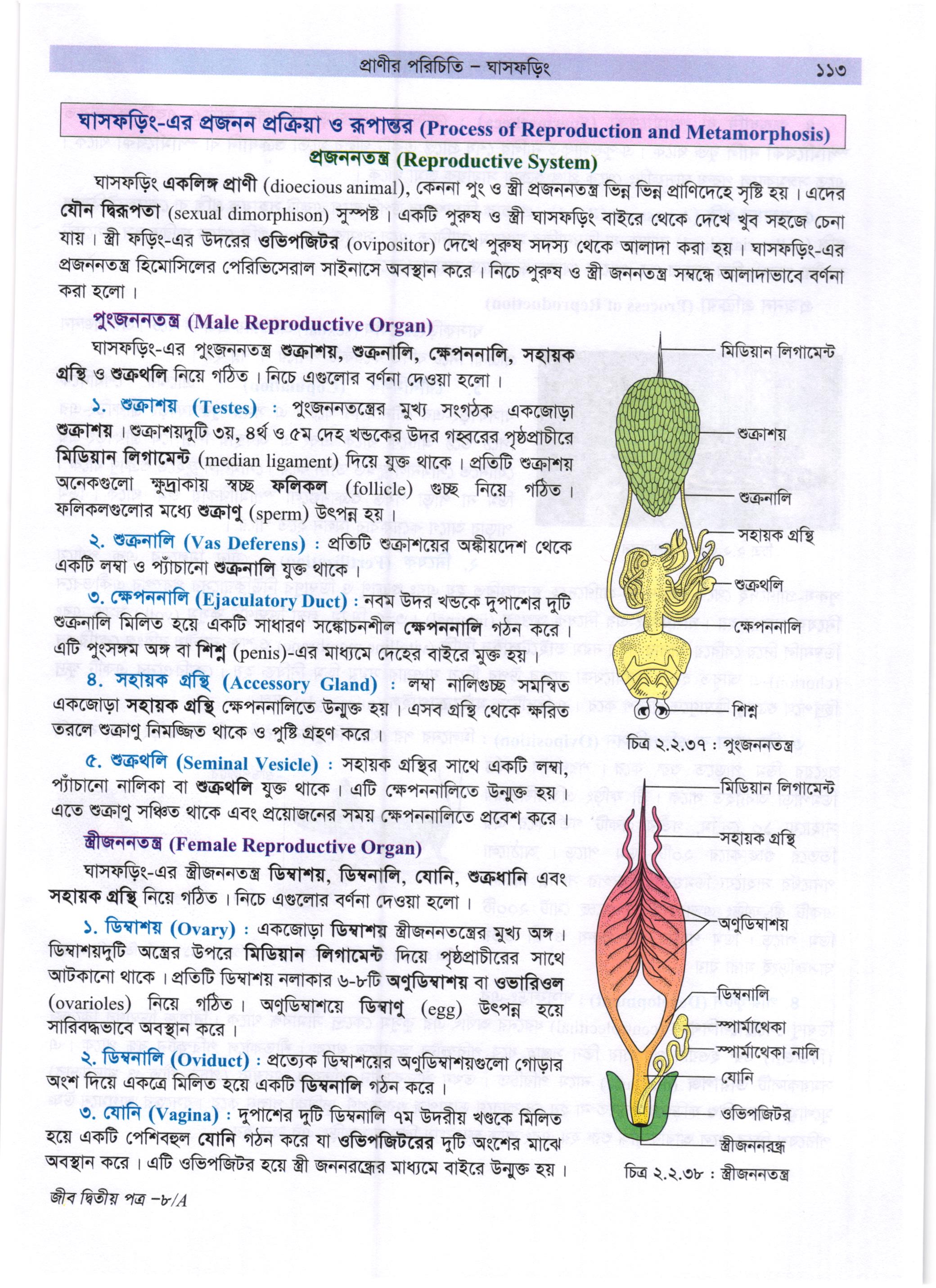 গাজী আজমল