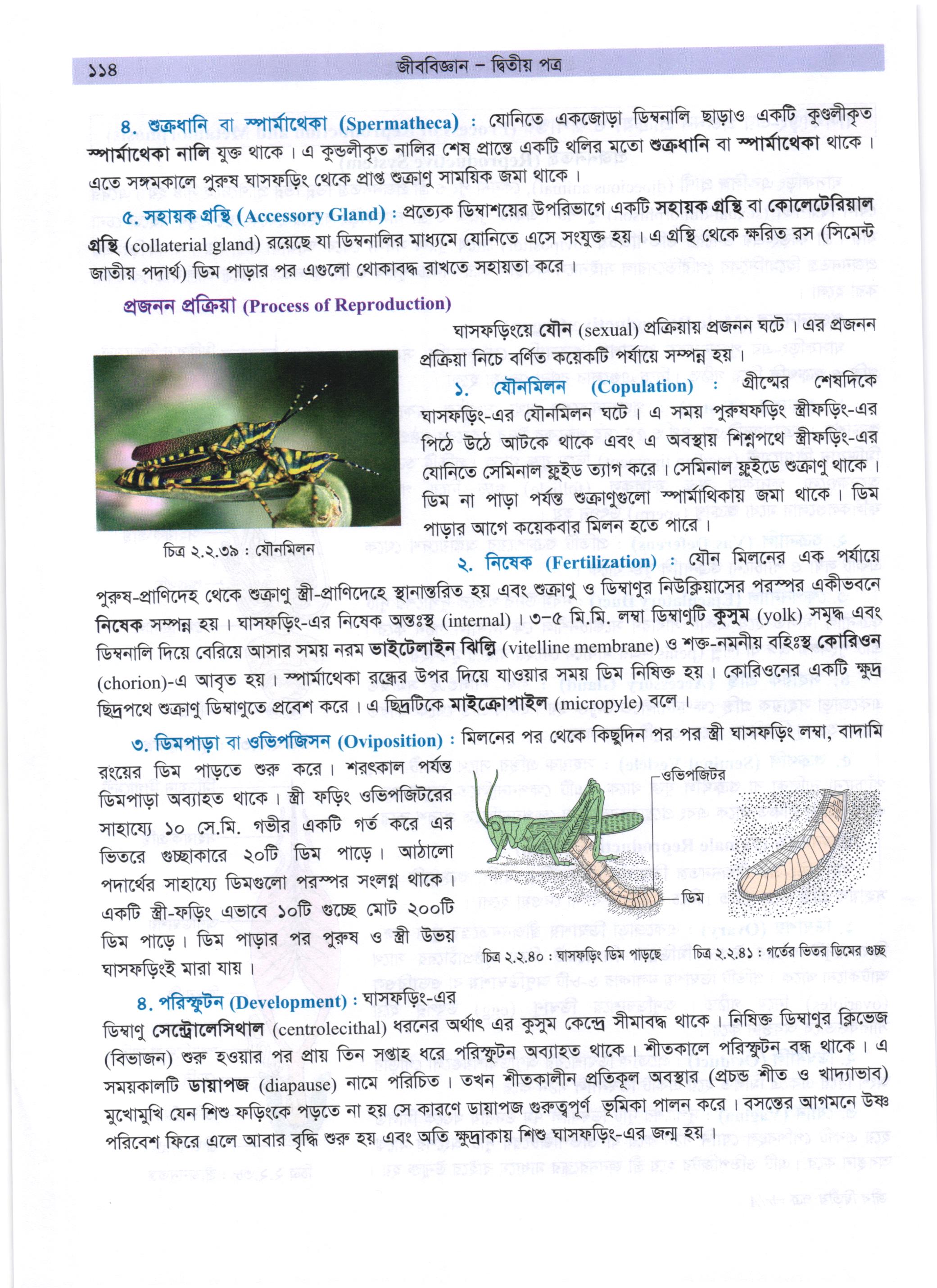 গাজী আজমল