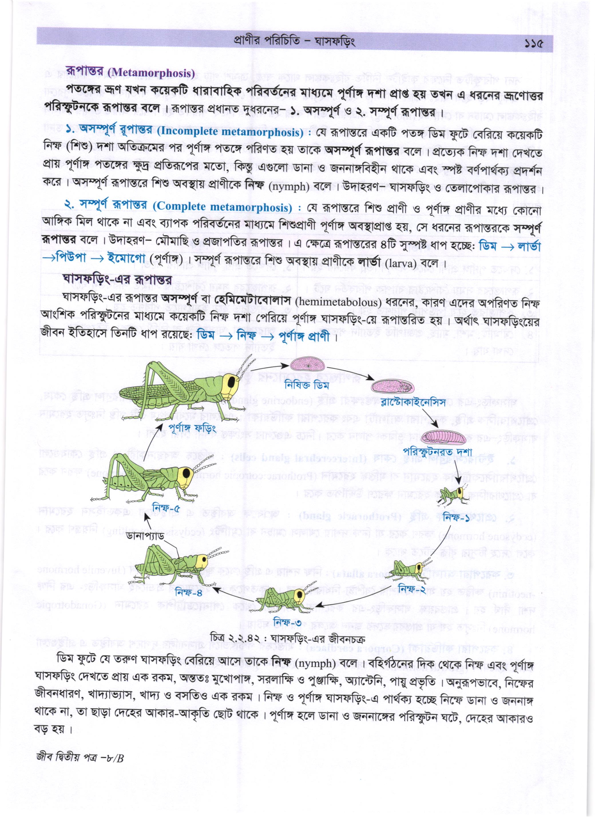 গাজী আজমল