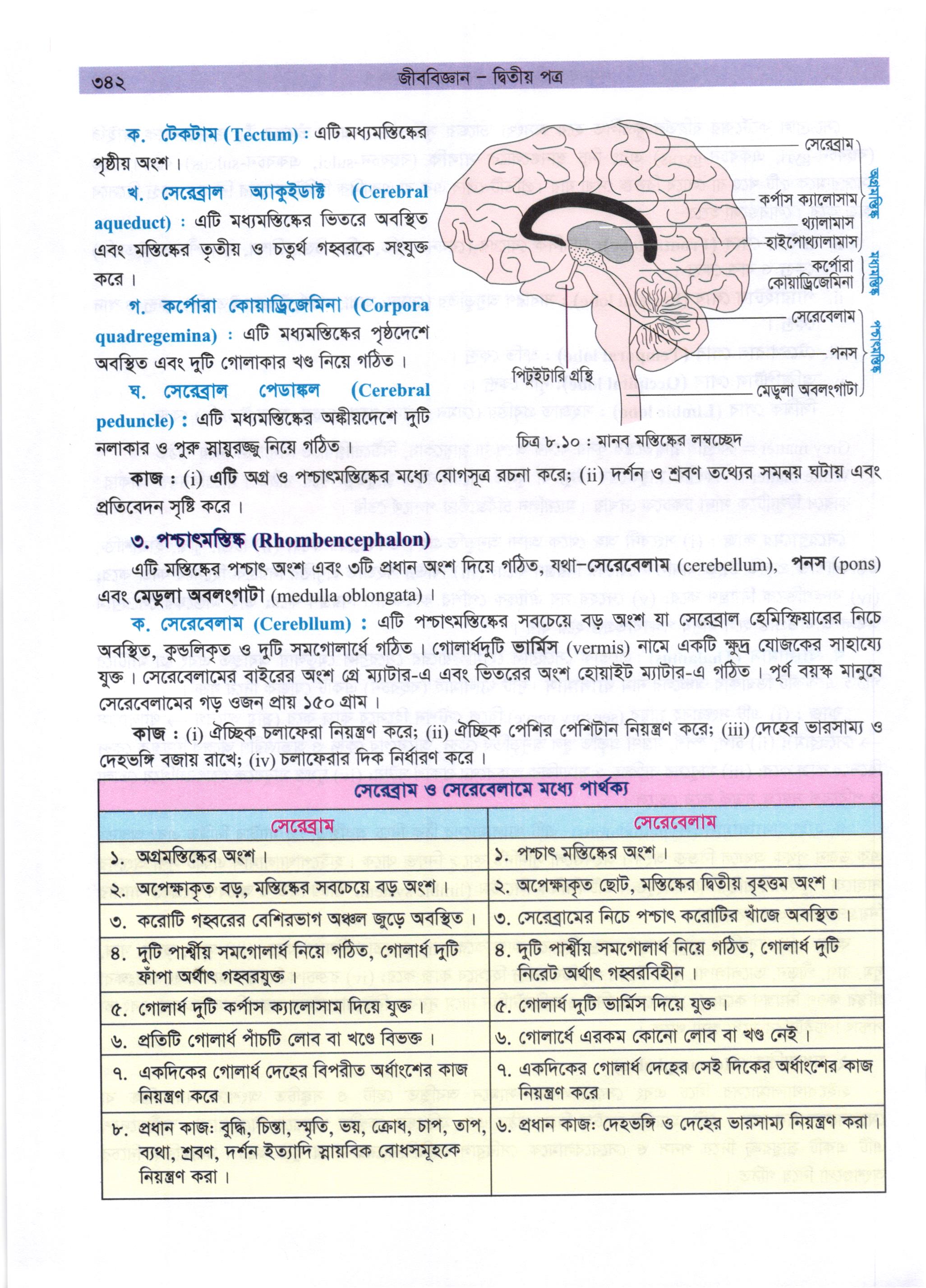 গাজী আজমল