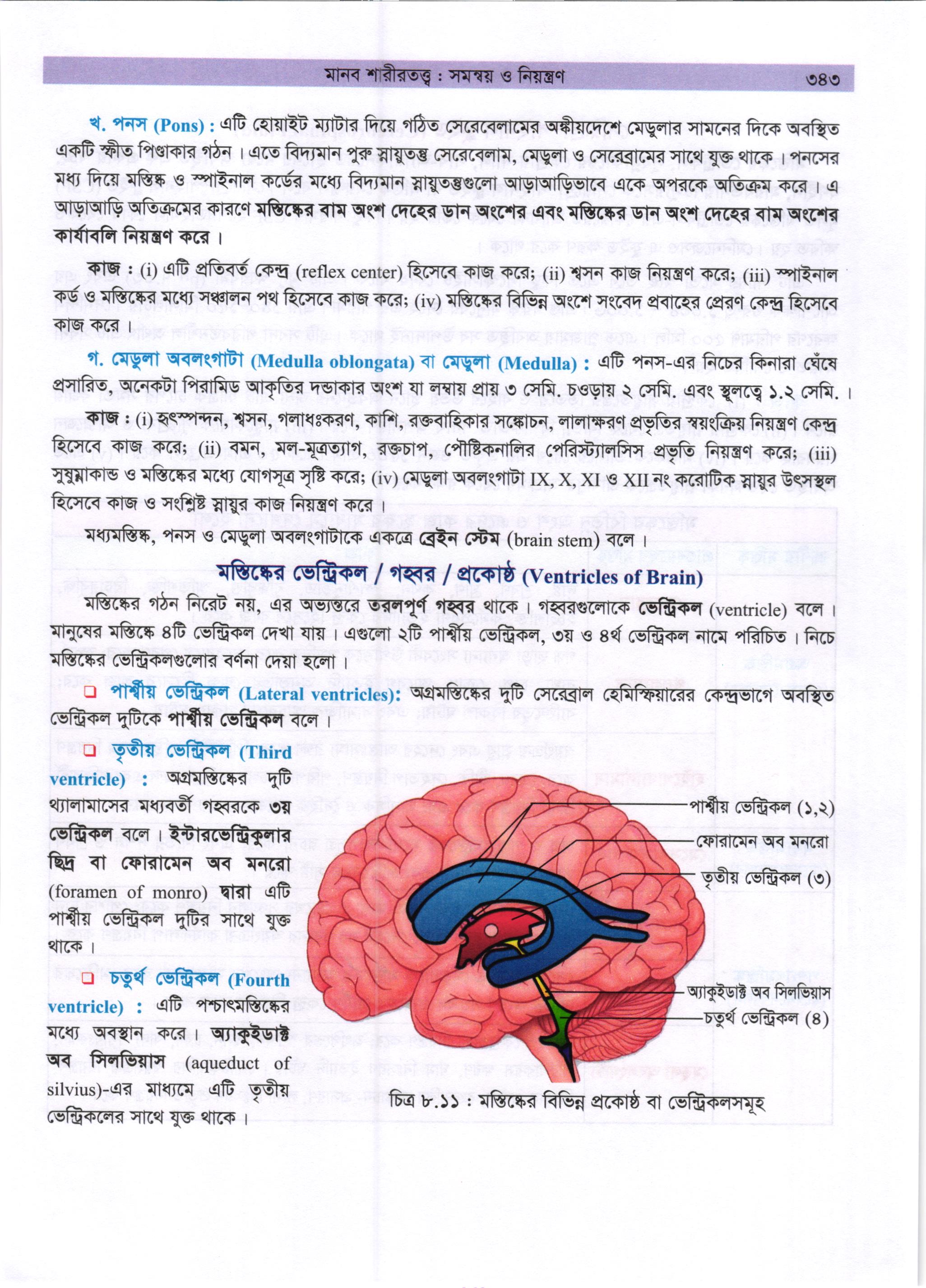 গাজী আজমল