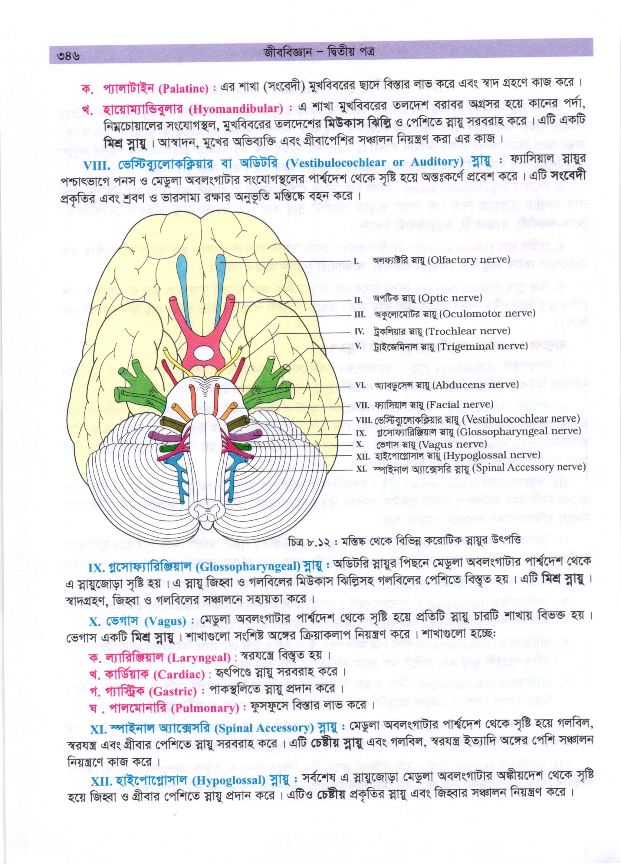 গাজী আজমল