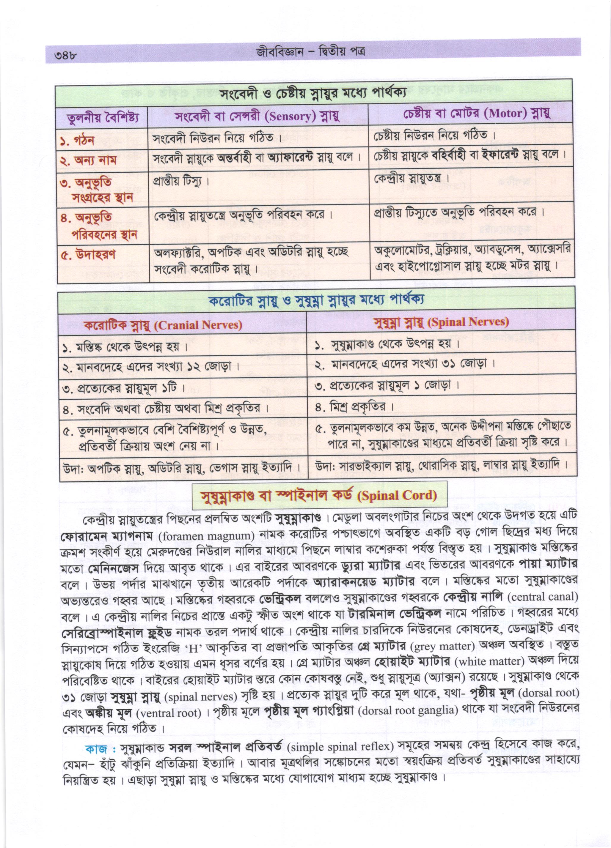 গাজী আজমল