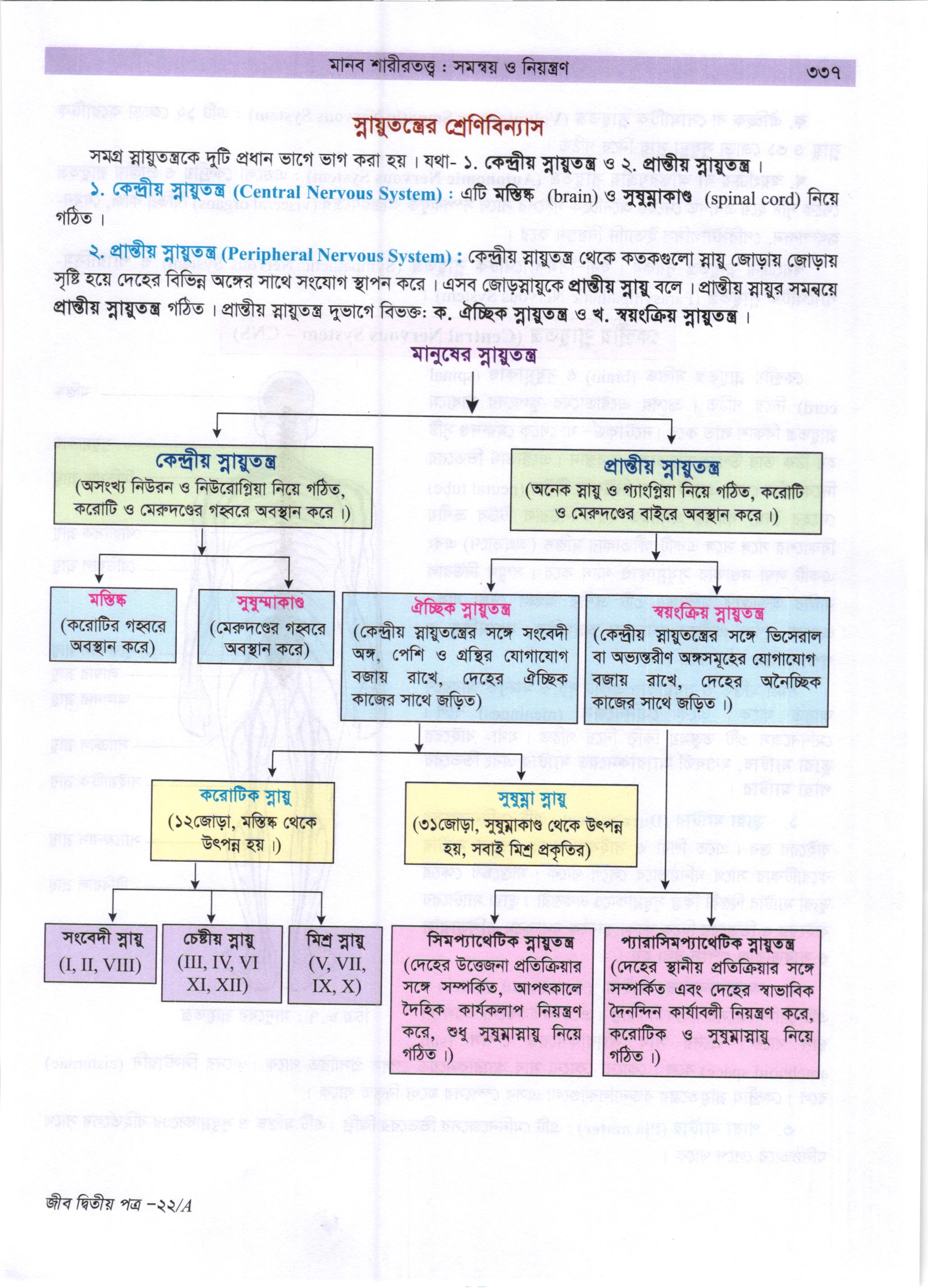 গাজী আজমল