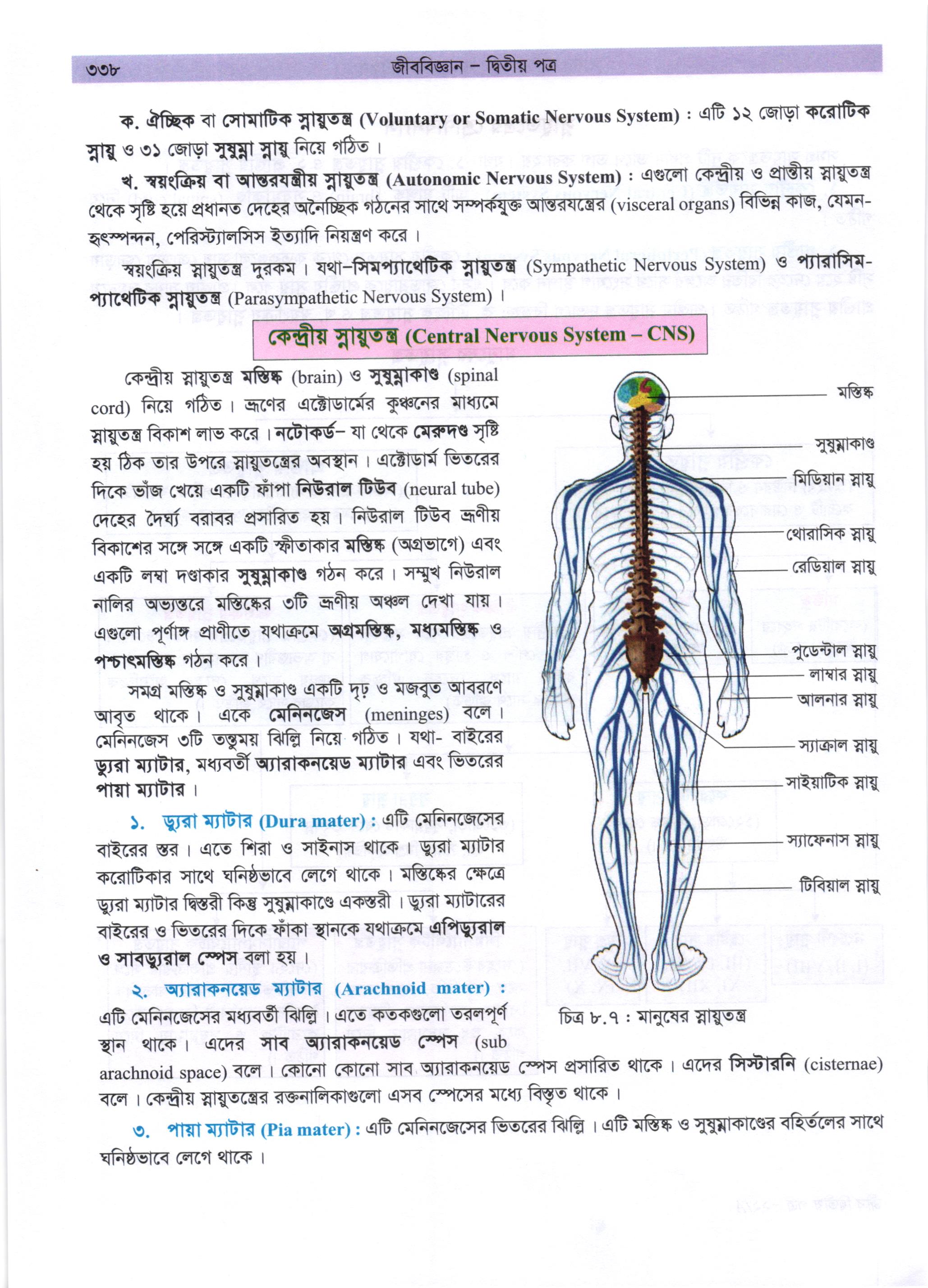 গাজী আজমল